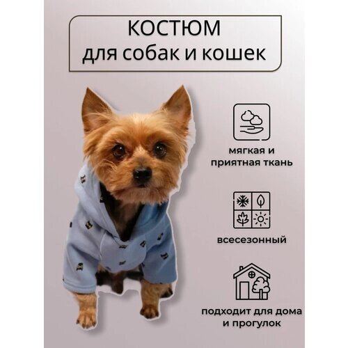 Одежда комбинезон костюм для собак