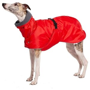 Попона для Уиппетов Монморанси, цвет: красный/серый, размер М1. Попона для собак породы уиппет. Попона для бесхвостых собак и с низкоопущенным хвостом.