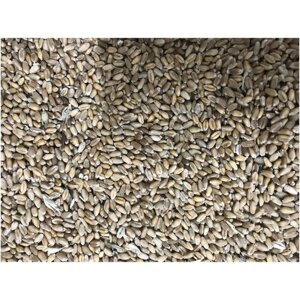 Пшеница фуражная, зерно 5 кг. добавка к зерносмеси для с/х животных