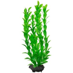 Растение аквариумное с утяжелителем Tetra Hygrophila 3, 30см