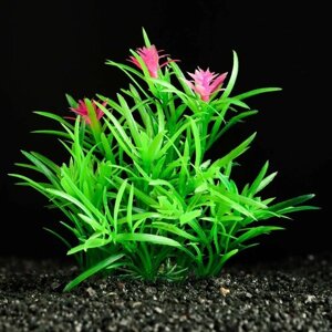 Растение искусственное аквариумное, 11 см, зелёное 1у*1шт