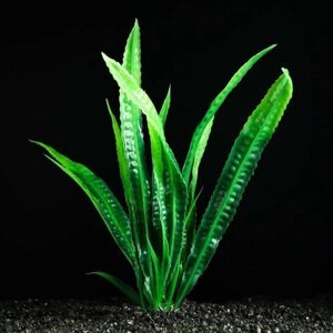 Растение искусственное аквариумное, 4 х 20 см, зелёное, 5 штук