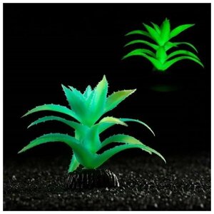 Растение искусственное аквариумное, светящееся, 10 см, зелёное 7514211