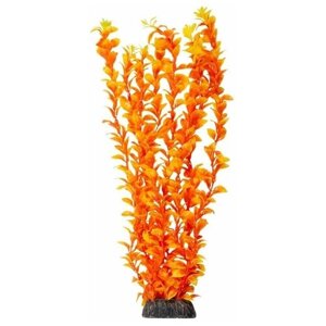 Растение Laguna Людвигия ярко-оранжевая для акариумов (40 см)