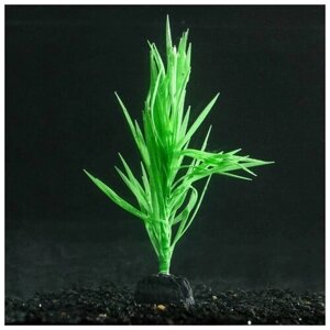 Растение силиконовое аквариумное, светящееся в темноте, 7 х 12,5 см, зелёное 7108756