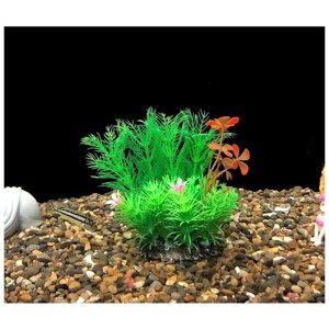 Растения для аквариумов и террариумов 15 см