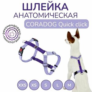 Шлейка прогулочная анатомическая для мелких пород собак и кошек, CORADOG Quick click, размер XXS, цвет сиреневый, фиолетовый