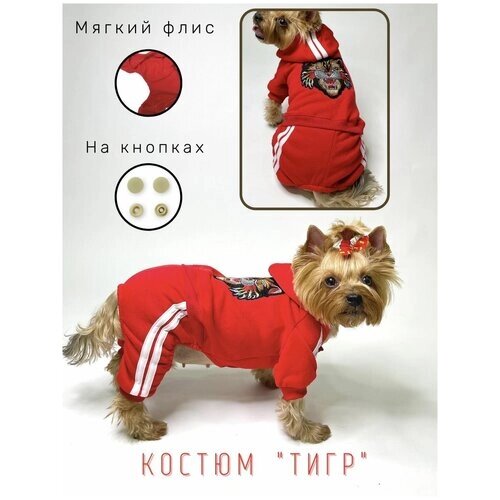 Спортивный костюм для собак / На флисе / Размер XXL / Одежда для собак / Красный цвет