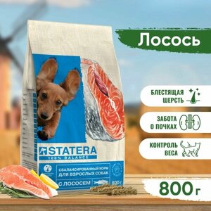 Сухой корм для собак STATERA лосось 1 уп. х 1 шт. х 800 г