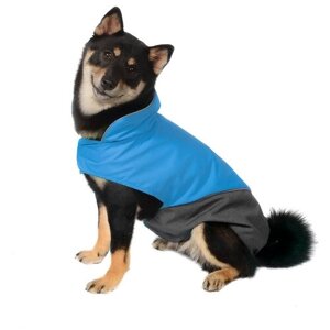 Tappi одежда Попона Блант для собак голубая, размер 3XL, спинка 50 см, лд22ос, 0,159 кг