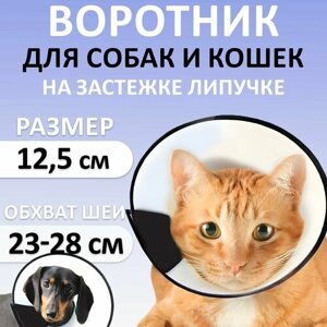 Защитный воротник ветеринарный для кошек и собак, высота 12,5 см