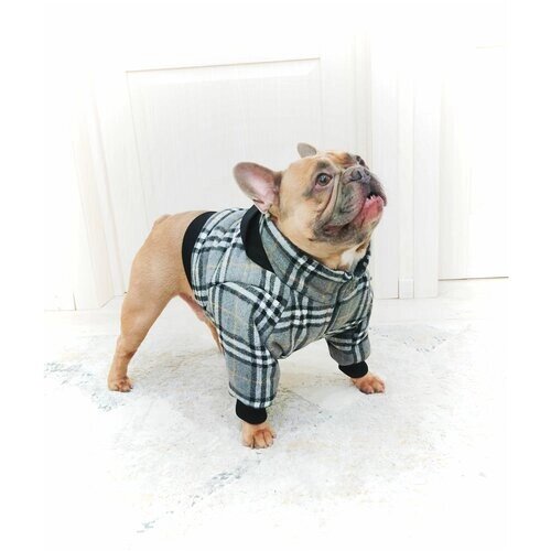 Зимняя куртка для собак средних пород/одежда для собак/куртка для собак/ В клетку, серая. Размер S