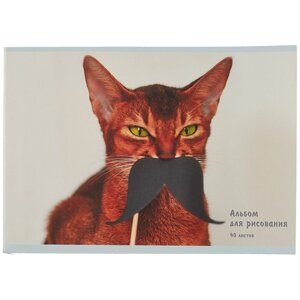 Альбом для рисования 40л "Котик с усами" скрепка, мел. картон
