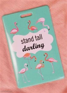 Чехол для карточек Фламинго на зеленом фоне (ДК2017-099)