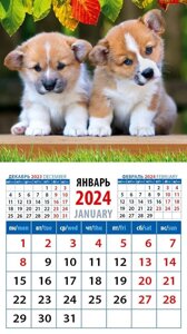 Календарь 2024г 94*167 "Забавные щенки корги" на магните