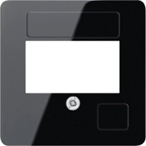 Лицевая панель для розетки USB Jung 169TSW
