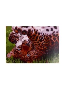 Набор ТМ Рыжий Кот Раскраска на картоне A3 Игривый леопард (Арт. Р-2269)