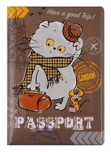 Обложка для паспорта Басик Путешественник (ПВХ бокс) (ОП2019-213)