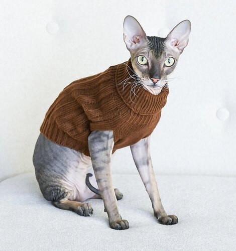 Lelap одежда свитер для кошек и собак "Libre" коричневый (L)