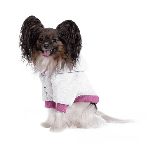 Tappi одежда толстовка для собак "Флип" для собак, серая с розовым (S)