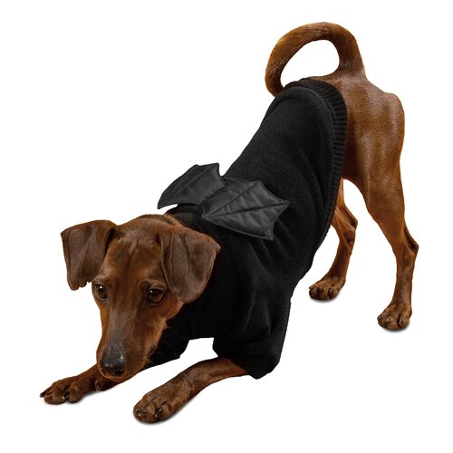 Tappi одежда толстовка "Дракула" для собак, черный (L)