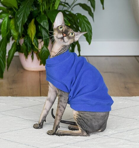 Tappi одежда жилет для кошек "Ньёрд", синий (M)