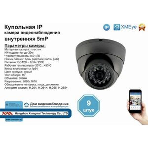 9Шт DVS300IP5mp (POE) внутренняя IP камера 5мп с ик до 20м