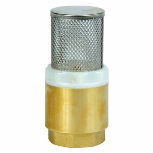 Обратный клапан пружинный AquamotoR AR111003 муфтовый (ВР/ВР), латунь с фильтром Ду 25 (1"