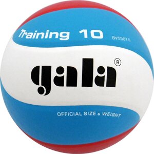 Мяч волейбольный Gala Training 10 BV5567S р. 5