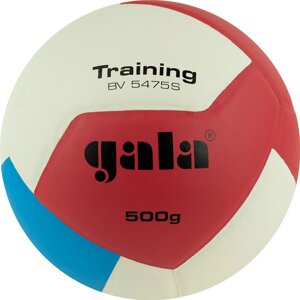 Мяч волейбольный Gala Training Heavy 12 BV5475S р. 5