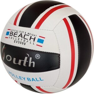 Мяч волейбольный Sportex E33541-4 р. 5
