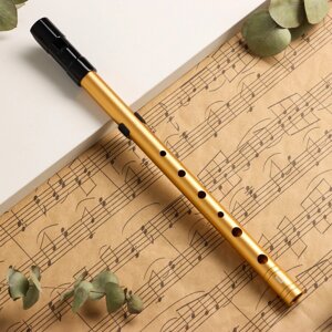 Флейта music life d золотая, профи, 30 см