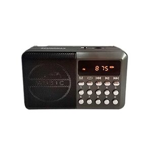 Радиочасы SoundMAX SM-RD2127 (тёмный титан)