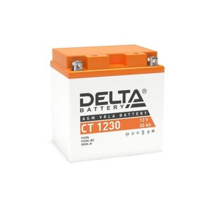 Аккумуляторная батарея Delta СТ1230 (YTX30L, YТX30L-BS, YB30L-B) 12 В, 30 Ач обратная (
