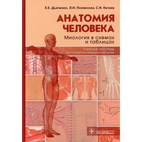 Анатомия человека: миология в схемах и таблицах. Дьяченко Е. Е., Полянская Л. И., Катаев С. И.