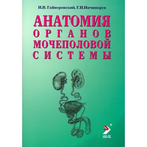 Анатомия органов мочеполовой системы. 10-е издание, переработанное и дополненное. Гайворонский И. В., Ничипорук Г. И.