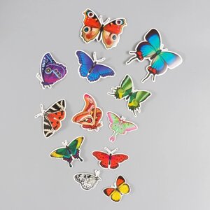 Бабочки картон "Натуральные" набор 12 шт h=4-10 см