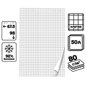Блокнот для флипчарта, 67,5 х 98 см, 50 листов в клетку, 92%80 г/м2, Calligrata
