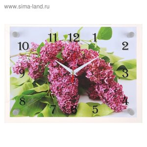 Часы-картина настенные, серия: Цветы, "Веточка сирени", плавный ход, 25 х 35 см