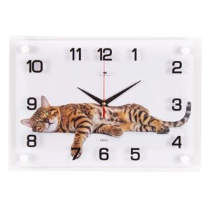 Часы настенные интерьерные "Бенгальский кот", бесшумные, 35 х 25 см, АА