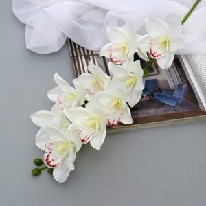 Цветы искусственные "Орхидея амабилис" 90 см, белый