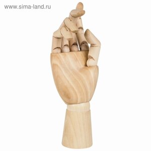 Деревянная фигура «Анатомические детали: Рука правая женская», высота 25 см, BRAUBERG