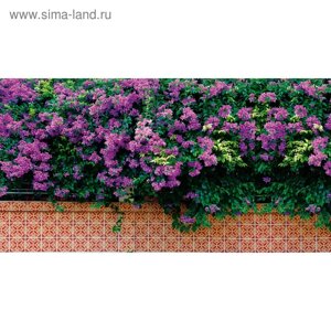 Фотобаннер, 300 160 см, с фотопечатью, люверсы шаг 1 м, «Фиолетовые цветы»