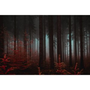 Фотобаннер, 300 200 см, с фотопечатью, люверсы шаг 1 м, «Красный лес»