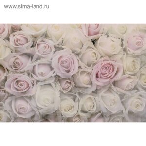 Фотообои "Розовая нежность" M 718 (3 полотна), 300х200 см