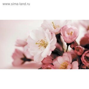 Фотообои "Яблоневый цвет" 2-А-203 (1 полотно), 270x150 см