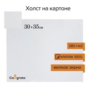 Холст на картоне Calligrata, хлопок 100%30 х 35 см, 3 мм, акриловый грунт, мелкое зерно, 280 г/м2