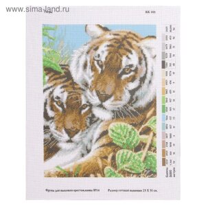Канва с нанесённым рисунком для вышивки крестиком «Тигры», размер 23x31 см