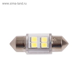 Лампа светодиодная Xenite S4316 12V (T11/C5W), 2 шт