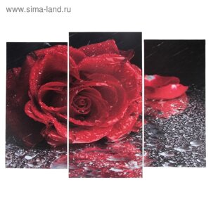 Модульная картина "Роза под дождём" (2-25х52; 1-30х60) 60х80 см